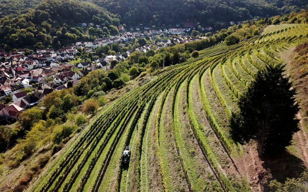 FairChoice - Alfons Hormuth St. Martiner Kirchberg