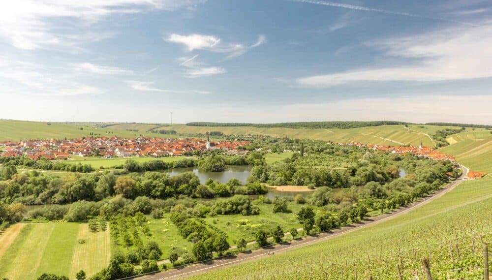 FairChoice - Divino 0890