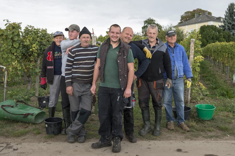 FairChoice - Domdechant Werner harvest Team