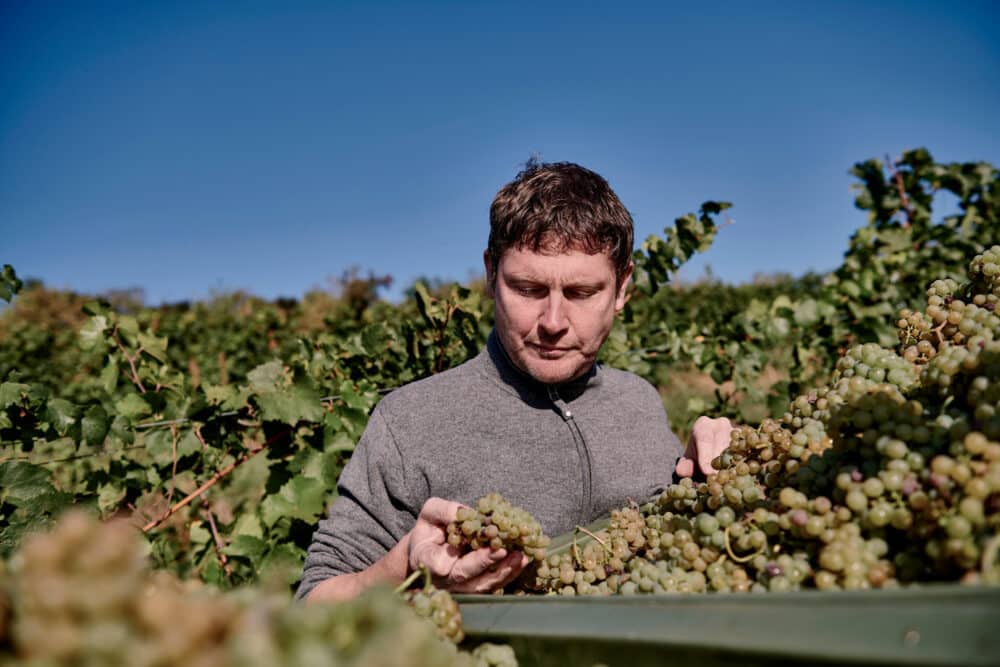 FairChoice - Sander ökologische Weine - 5