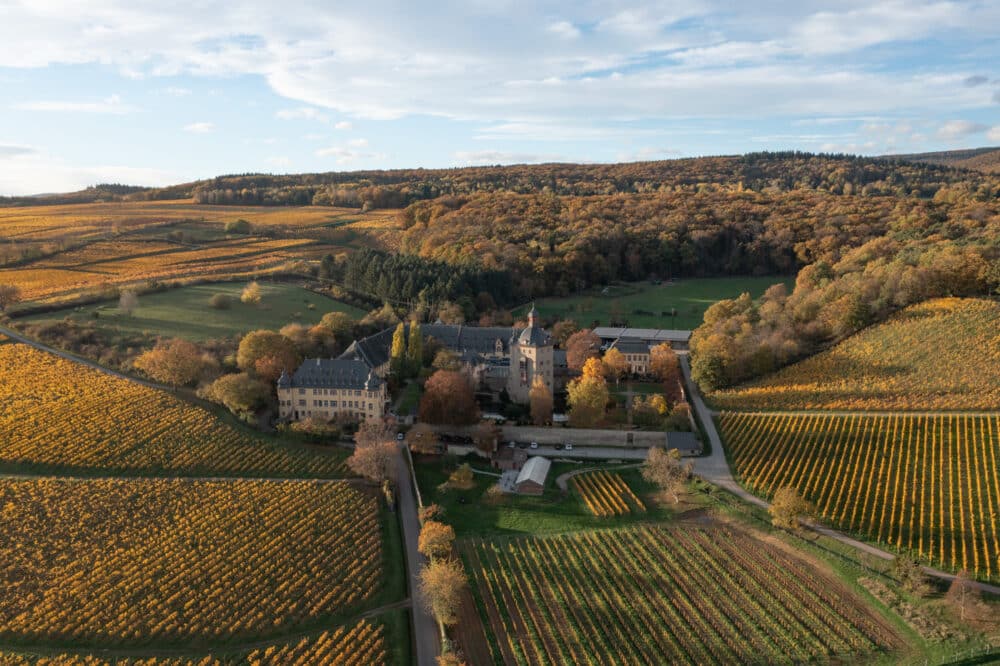 FairChoice - Schloss Vollrads 3454