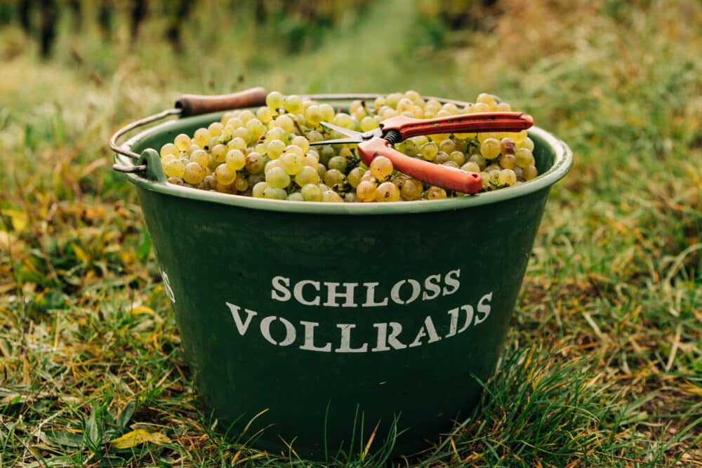 FairChoice - Schloss Vollrads 3454