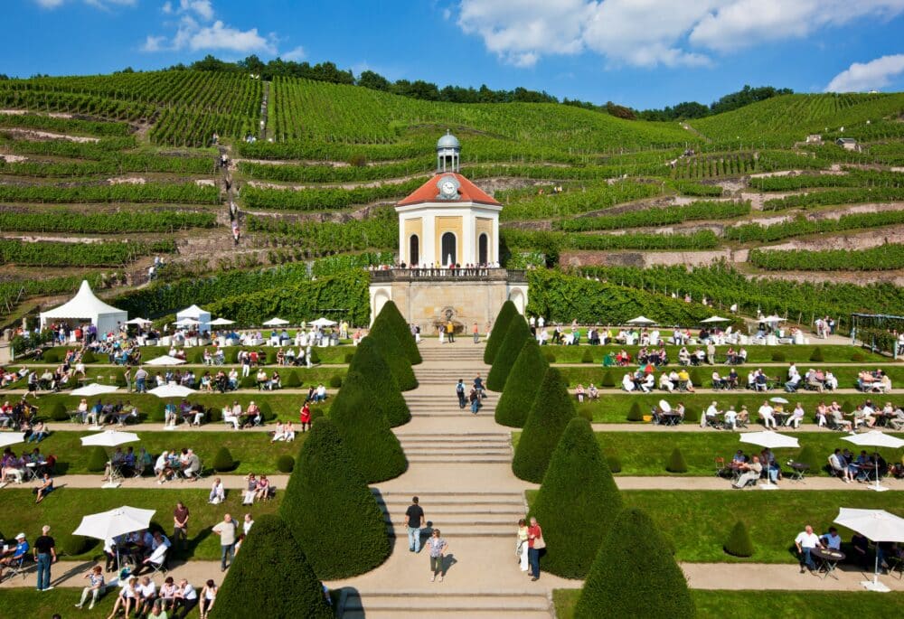 FairChoice - Weingut Wackerbarth in Radebeul