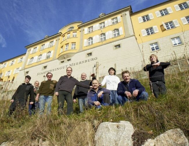 FairChoice - Staatsweingut Meersburg K&K, Team Weinbau Staatsweingut
