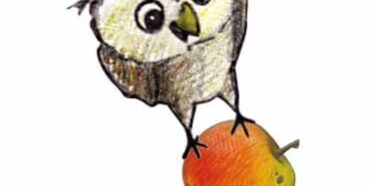 FairChoice - Steinkauz Streuobstwiesenprojekt Beitragsbild2