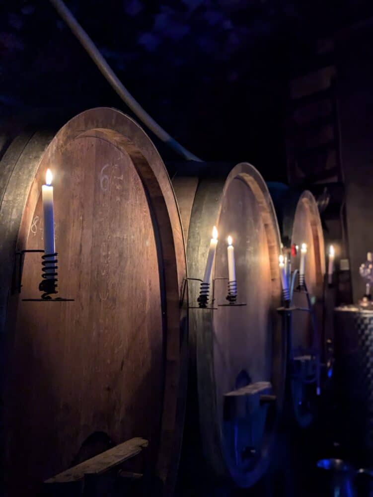 FairChoice - Weingut Egon Schäffer Weinkeller Weinfässer im Kerzenschein