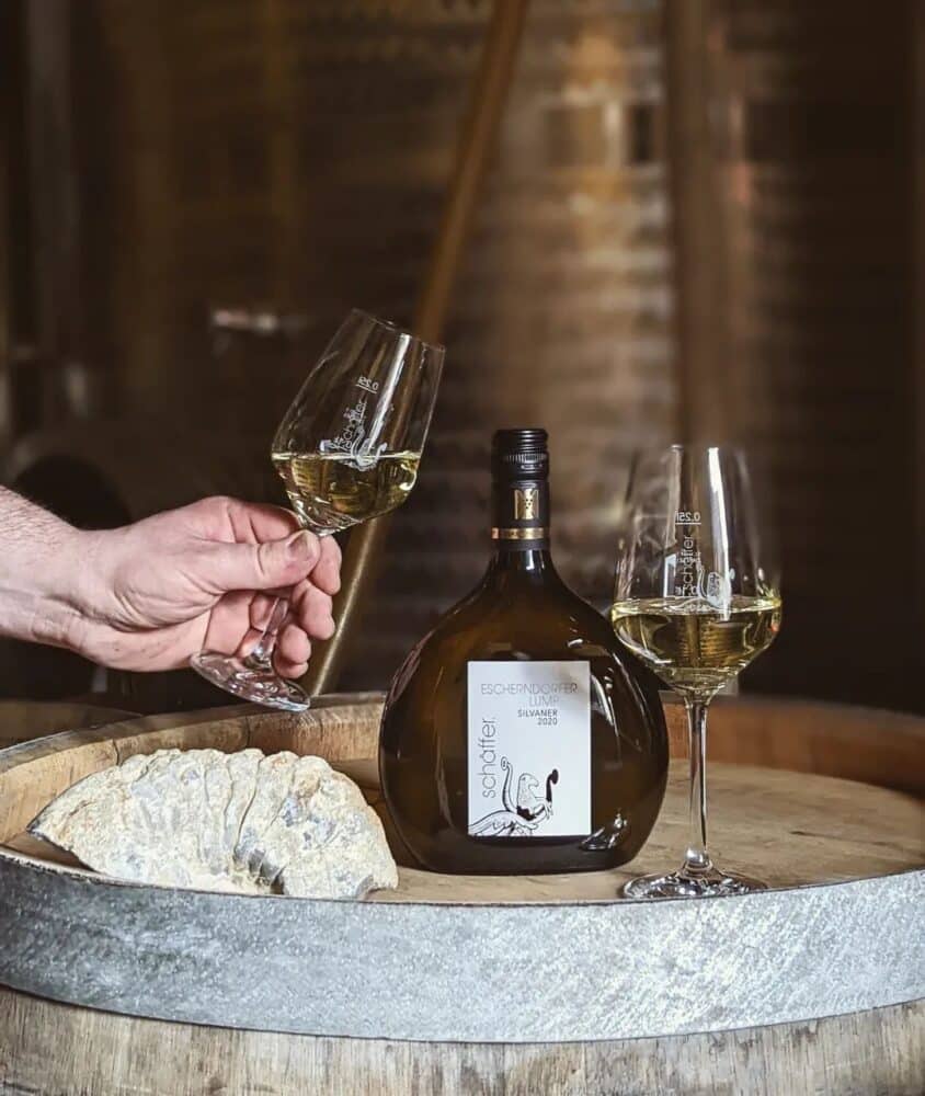 FairChoice - Weingut Egon Schäffer escherndorfer lump silvaner muschelkalk frankenwein weingut schäffer vdp familienweingut