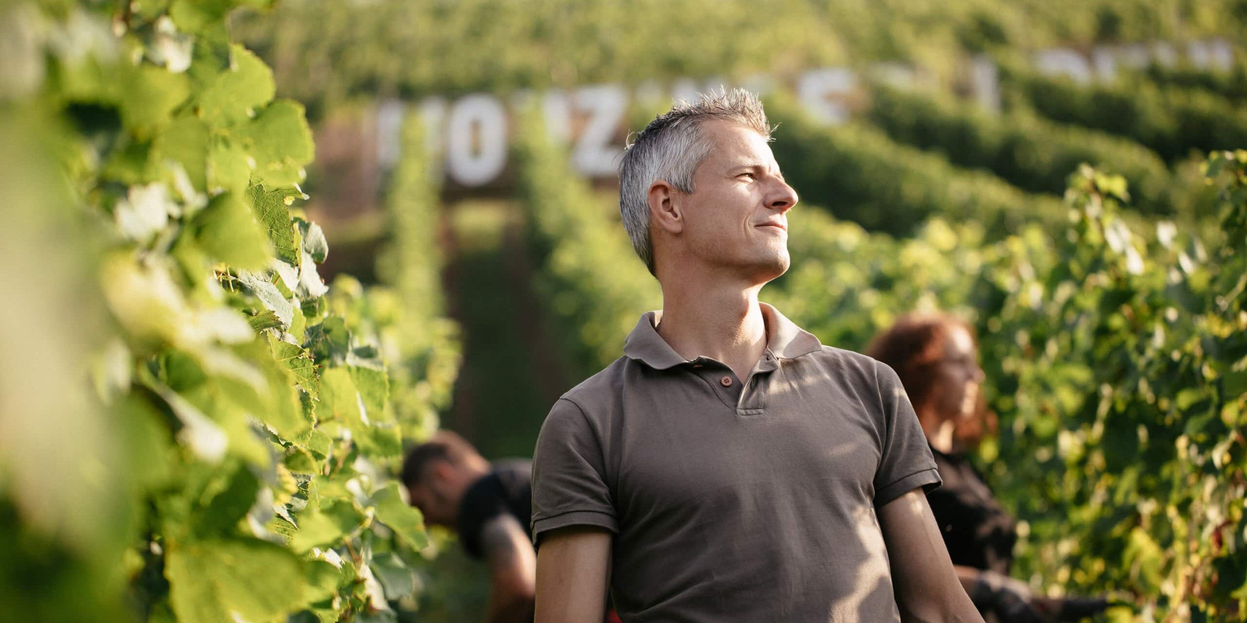 FairChoice - Weingut Emrich-Schönleber 01