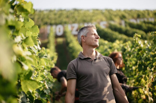 FairChoice - Weingut Emrich-Schönleber 01