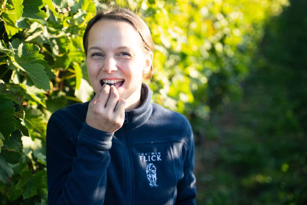 FairChoice - Weingut Flick 03737
