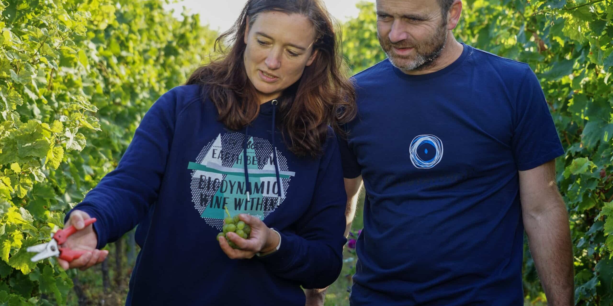 FairChoice - Weingut Gustavshof - 00