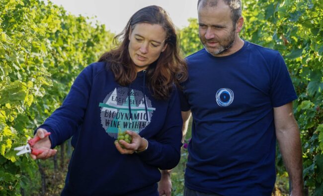 FairChoice - Weingut Gustavshof - 00