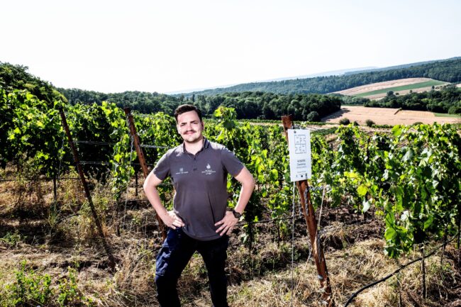 FairChoice - Weingut Heitlinger WeingutHeitlinge_Patrick_Jacklin_Bildnachweis_ClausGeiss