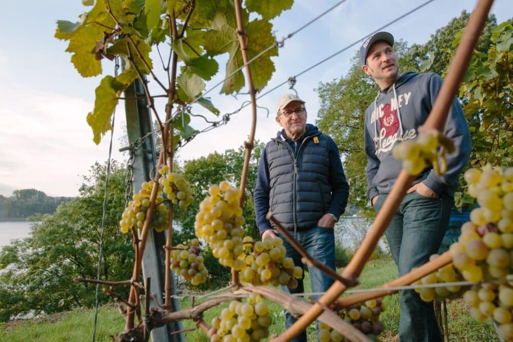 FairChoice - Weingut Jakob Jung 4