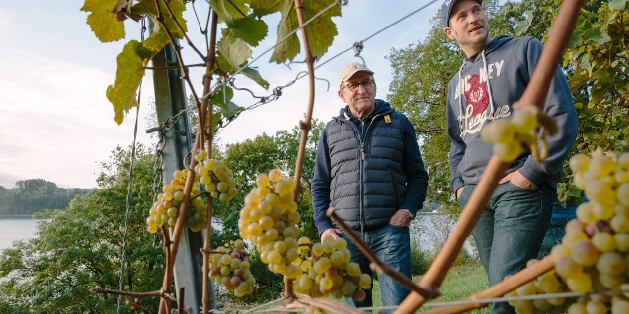 FairChoice - Weingut Jakob Jung 4