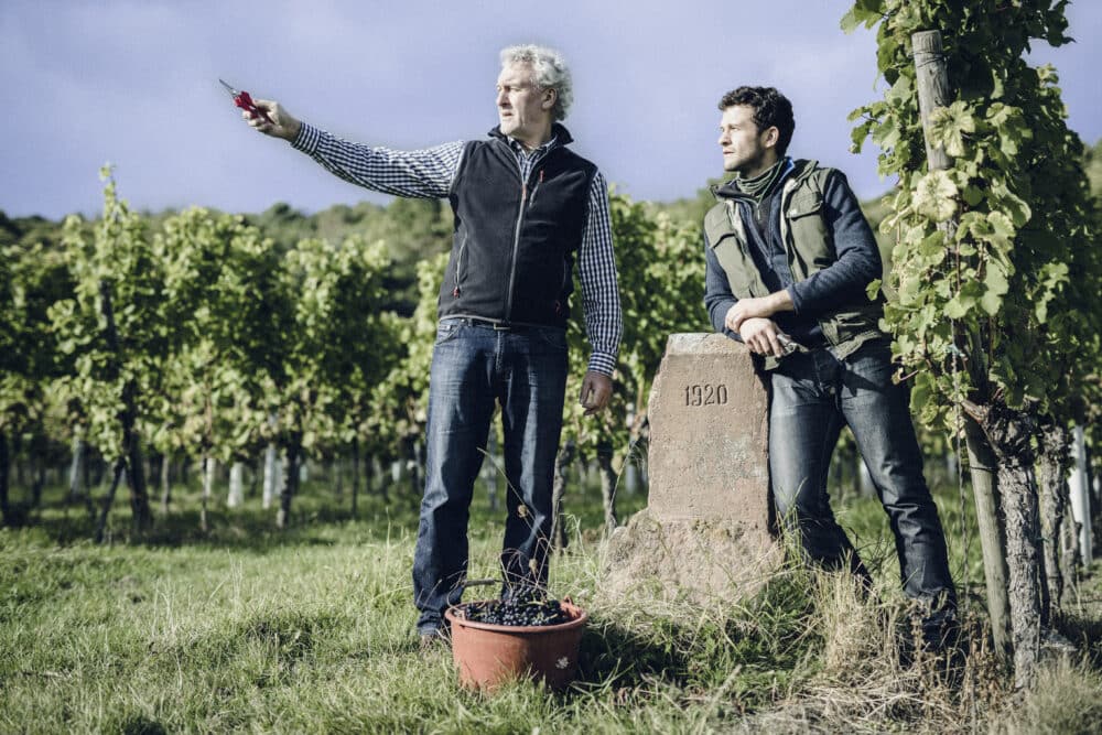 FairChoice - Weingut Jülg Weinberg Werner&Johannes