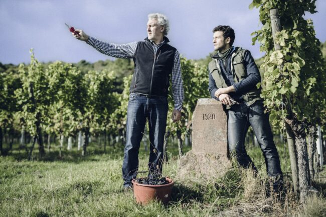 FairChoice - Weingut Jülg Weinberg Werner&Johannes