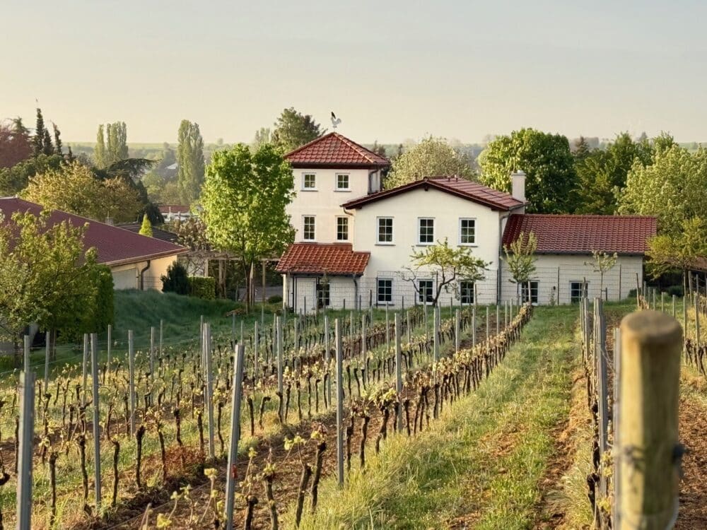 FairChoice -Weingut-K F Groebe-2025