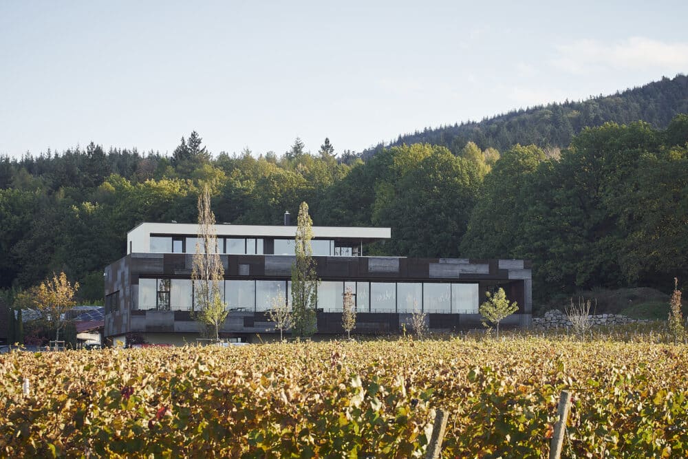 FairChoice - Weingut Kopp-Weingut_BD_4627