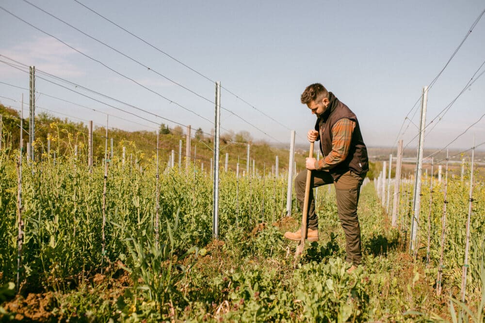 FairChoice - Weingut Kopp_web_088-7262