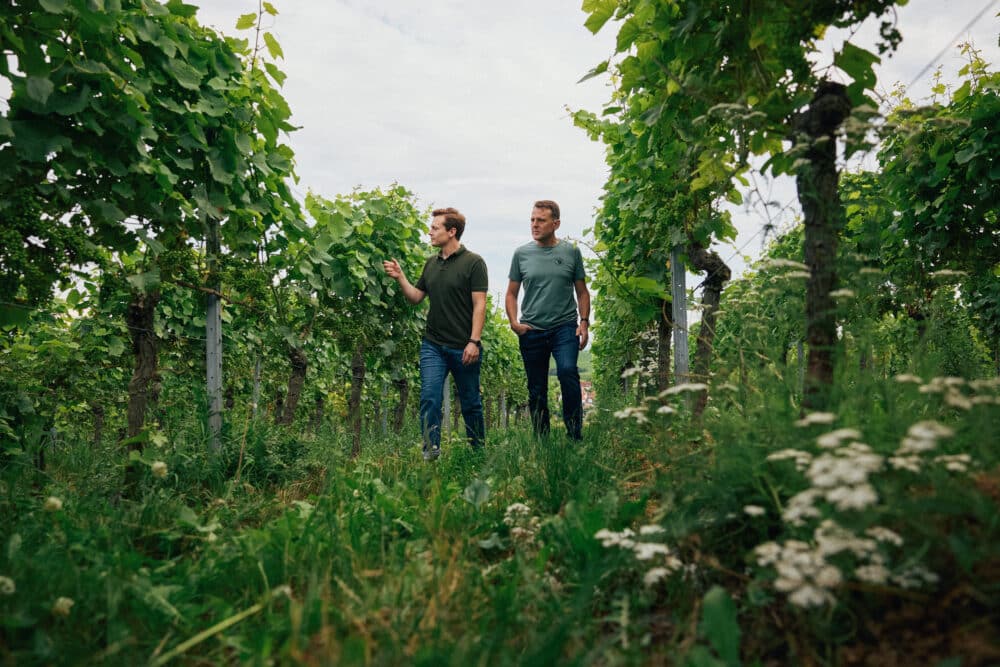 FairChoice - Weingut Kranz©peterbender_505