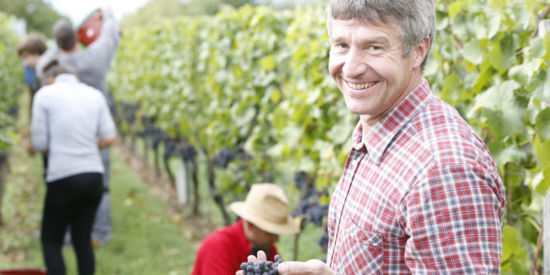 FairChoice - Weingut Künstler_D5B4495