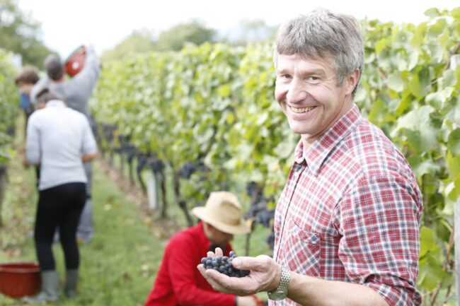 FairChoice - Weingut Künstler_D5B4495