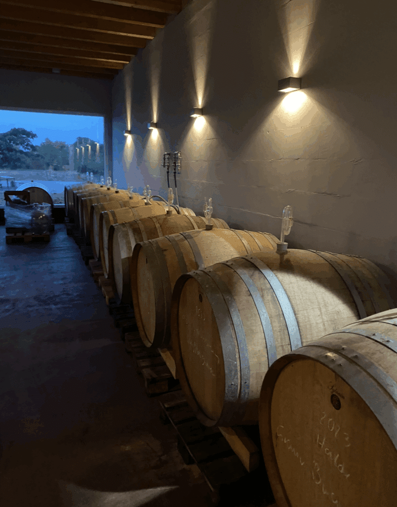 FairChoice - Weingut Langenwalter 00003