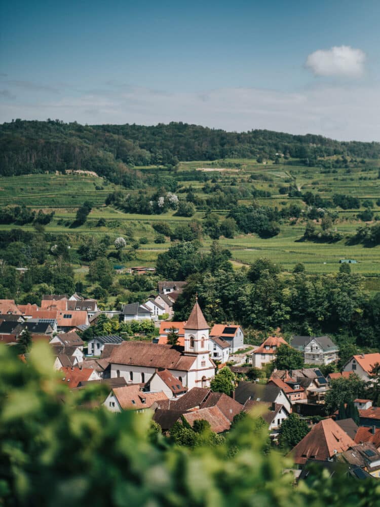 FairChoice - Weingut Michel Achkarren