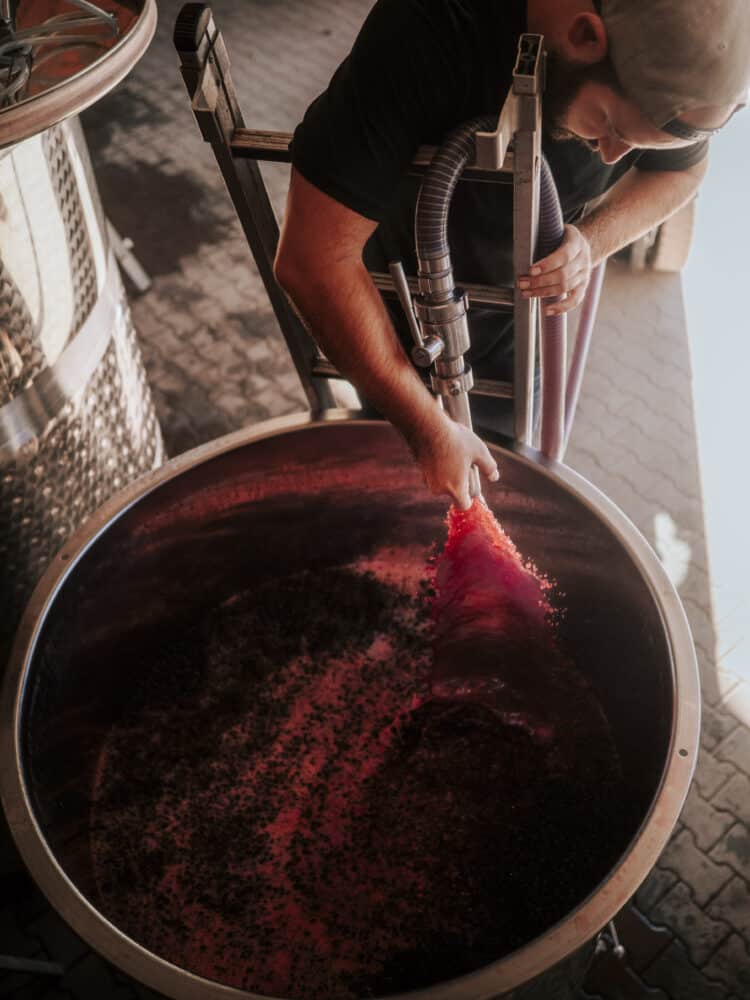 FairChoice - Weingut Michel Keller