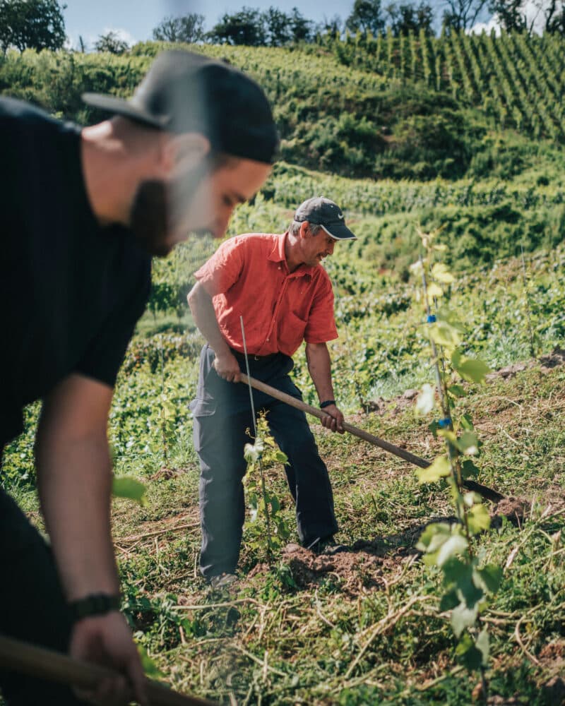 FairChoice - Weingut Michel Verantwortung