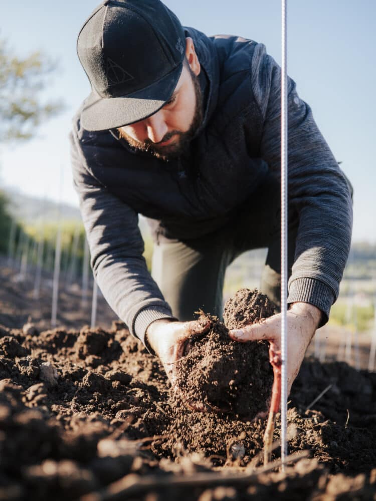 FairChoice - Weingut Michel Vision