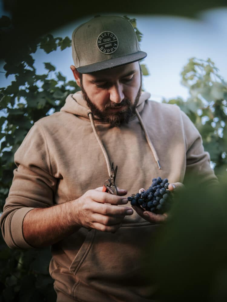 FairChoice - Weingut Michel VonHand_2