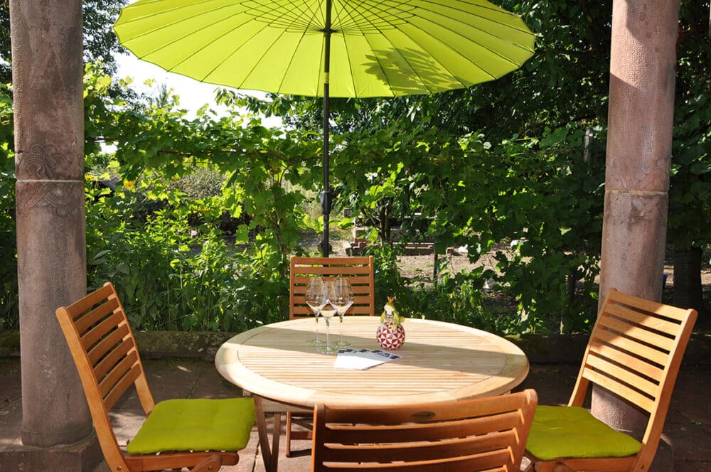 FairChoice - Weingut Minges Terrasse klein
