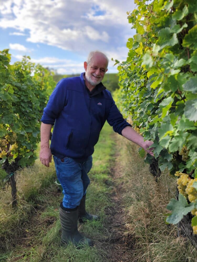 FairChoice - Weingut Minges Theo Minges in der Scheurebe- eigne Aufnahme