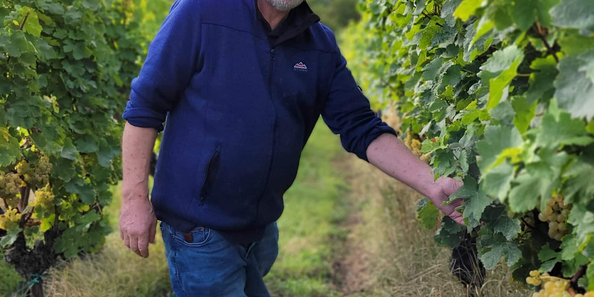 FairChoice - Weingut Minges Theo Minges in der Scheurebe- eigne Aufnahme