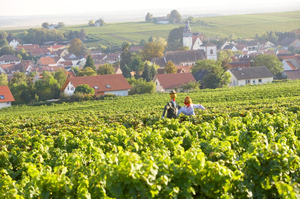 FairChoice - Weingut Oekonomierat Johann Geil Erben - Bechtheim