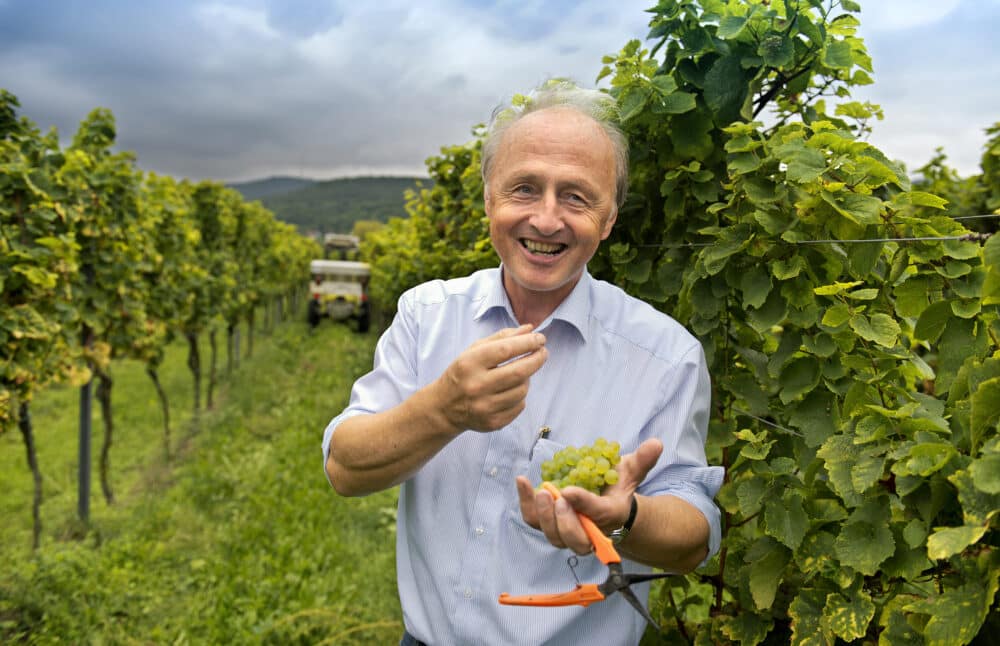 FairChoice - Weingut Peter Stolleis 06