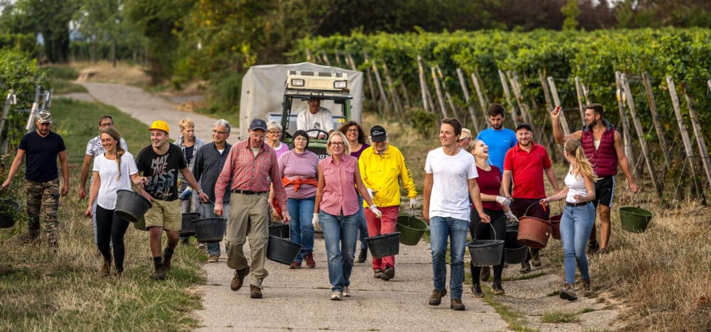 FairChoice - Weingut Peter Stolleis 15