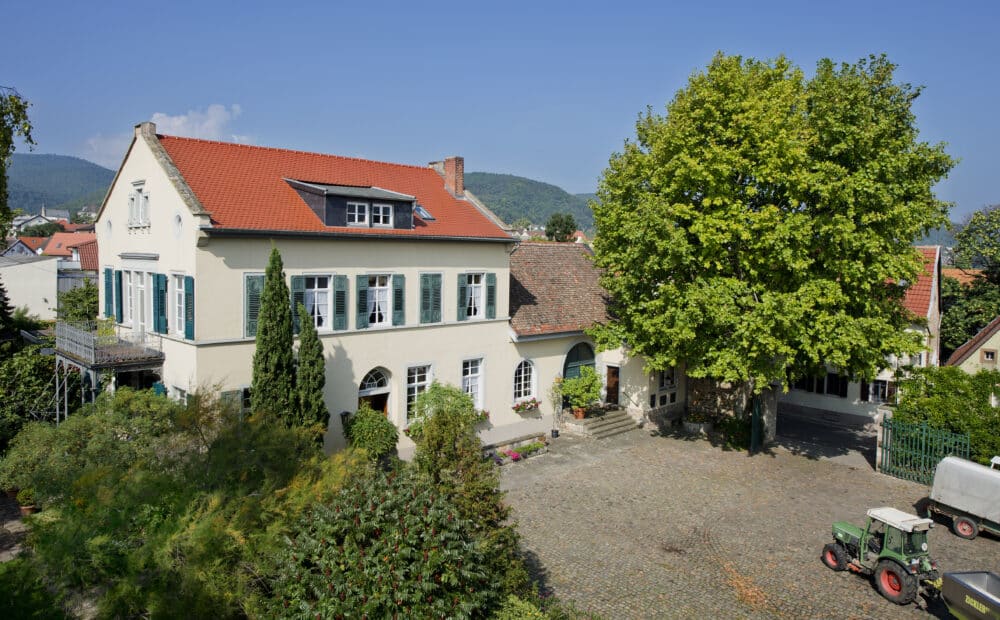 FairChoice - Weingut Peter Stolleis 18