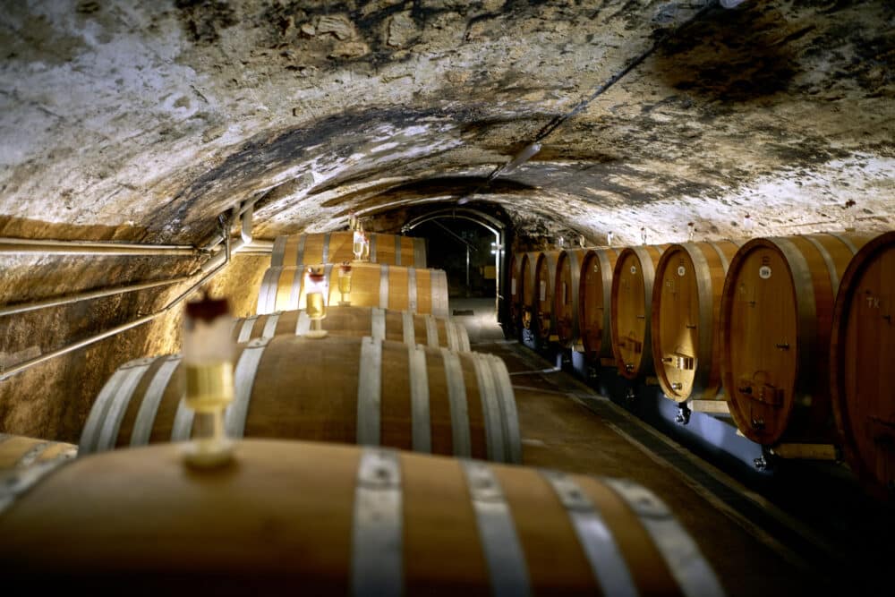 FairChoice Weingut Prinz von Hessen 03.jpg