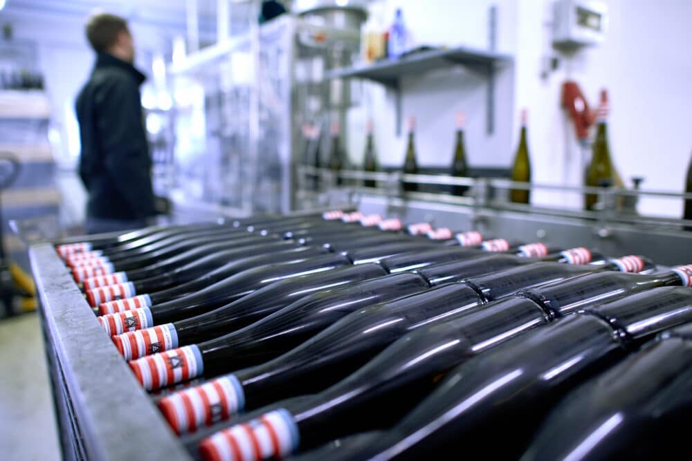 FairChoice Weingut Prinz von Hessen 04.jpg