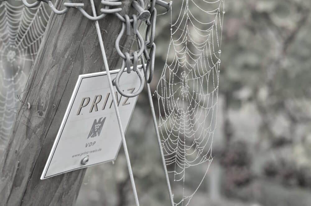 FairChoice - Weingut Prinz_Weinbergsschild