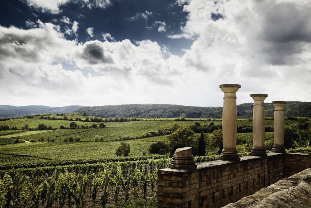 FairChoice - Weingut Rings RINGS_weilberg