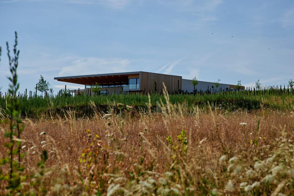 FairChoice - Weingut Rings weingut-neubau-aussenansicht