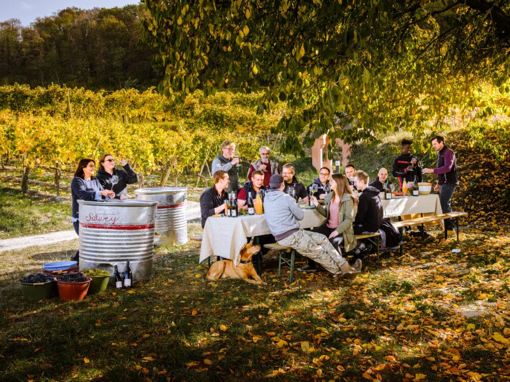 FairChoice - Weingut Salwey