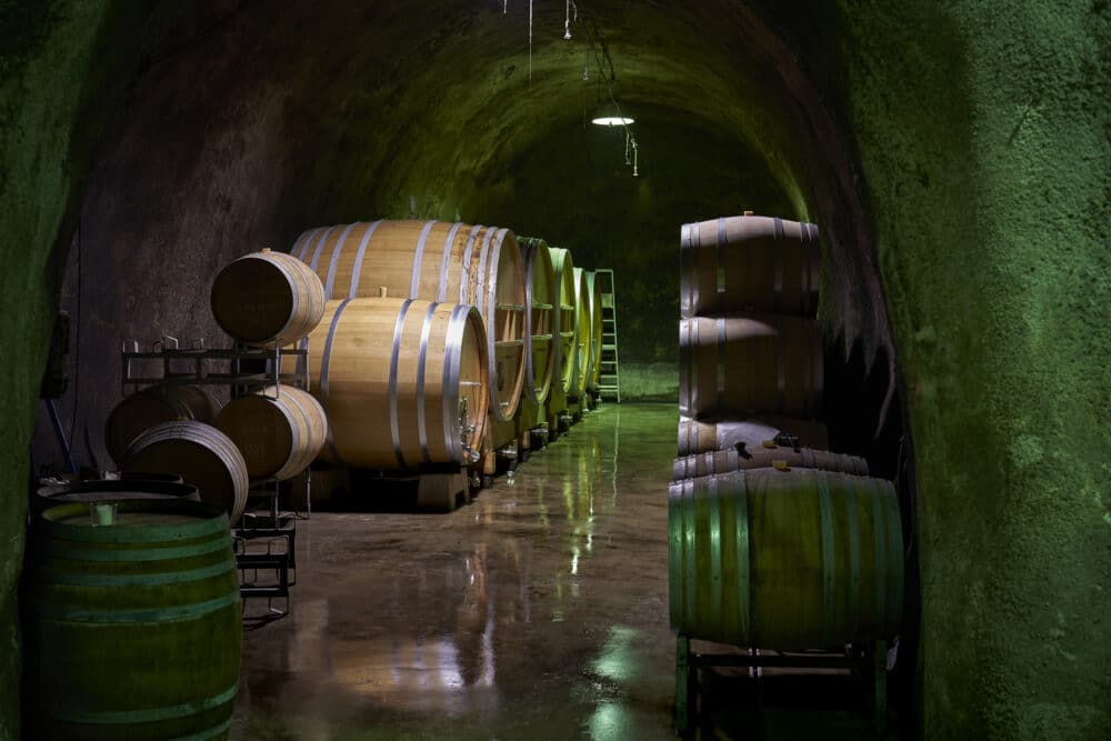 FairChoice - Weingut Salwey