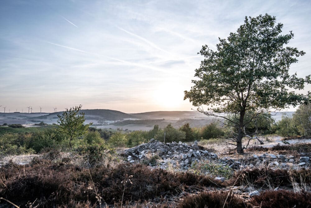 FairChoice - Weingut Wagner-Stempel OM7_1530