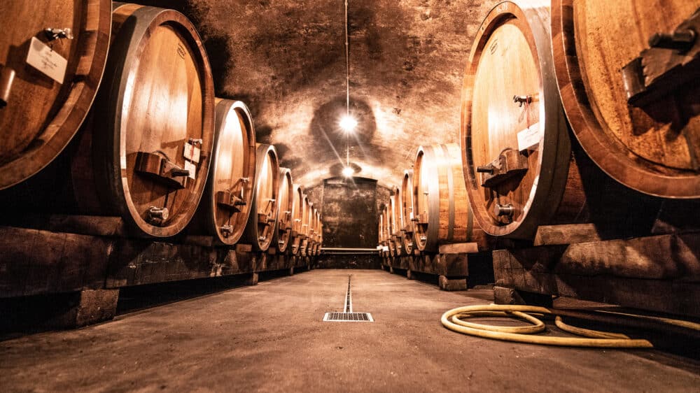 FairChoice - Weingut Wagner-Stempel OM7_2223