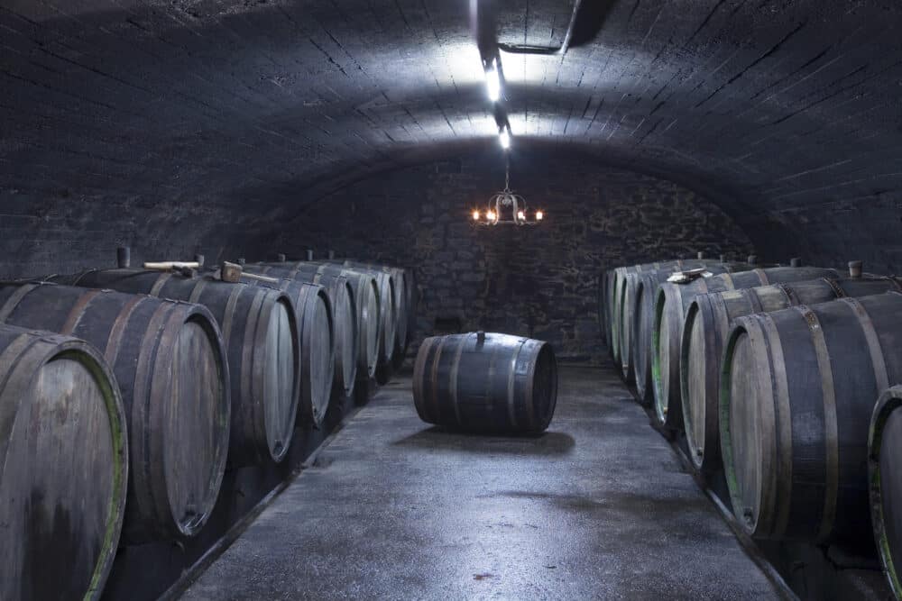 FairChoice - Weingut Willi Schaefer